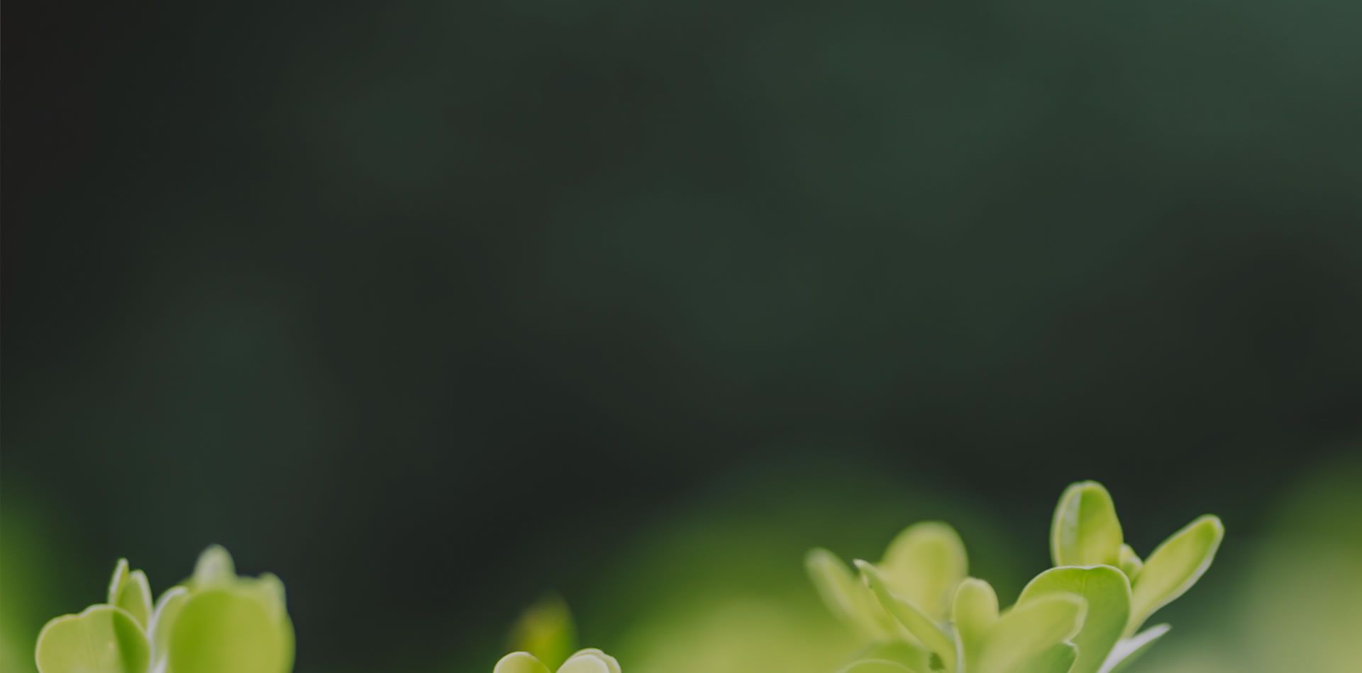 檢測(cè)報(bào)告